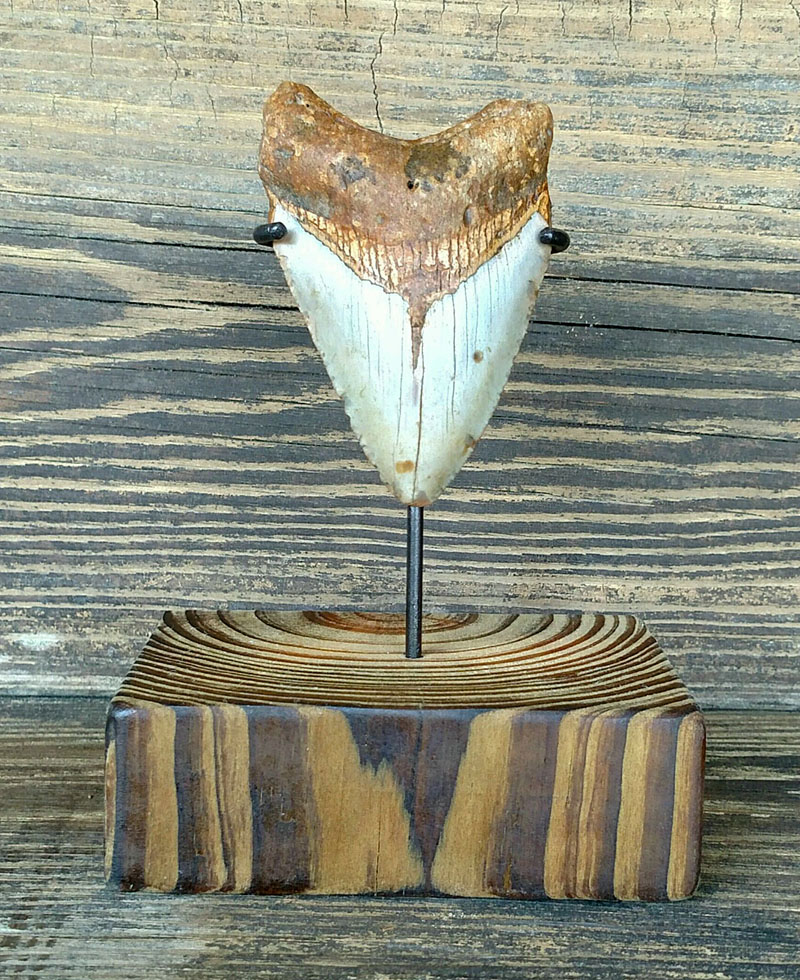 wine rack long driftwood